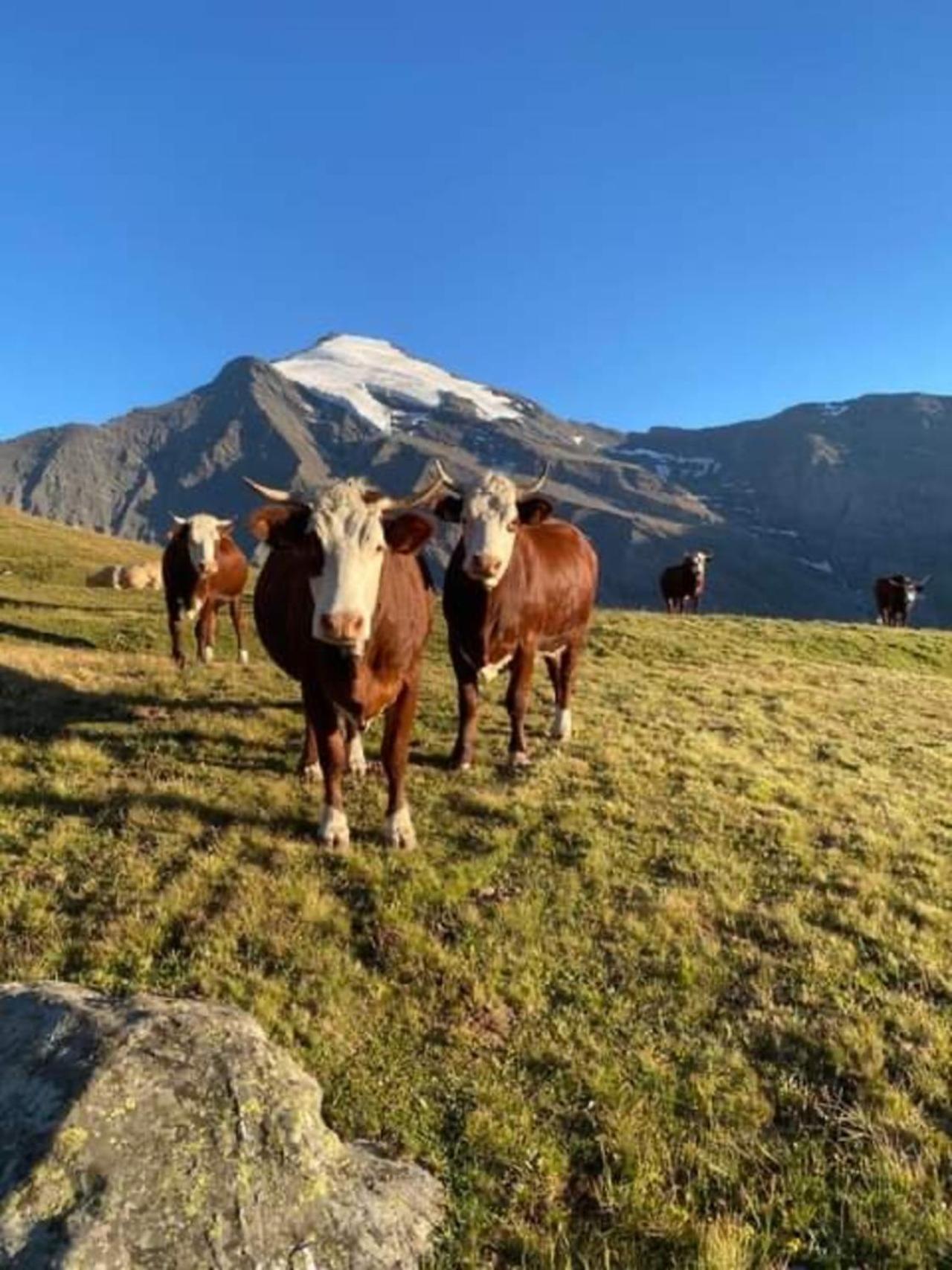 "L'Ancolie" Appartement De Charme 4 Personnes A Val Cenis Termignon Εξωτερικό φωτογραφία